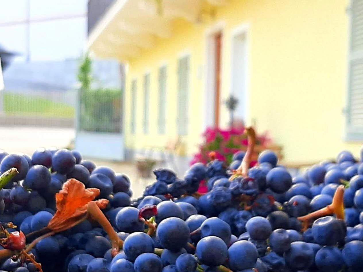 Ciabot Delle Aie - Barolo Apartman Kültér fotó